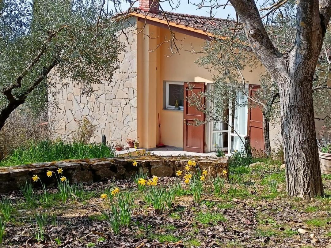 Poggio House, Tranquillita E Comfort Nella Natura San Casciano in Val di Pesa Exterior foto